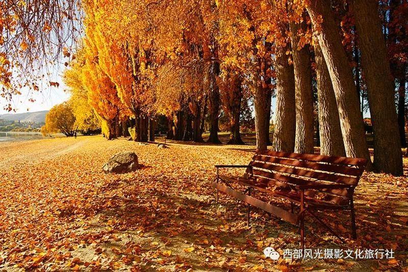 俄媒:俄政府将很快向普京汇报官员转用俄罗斯国产汽车情况