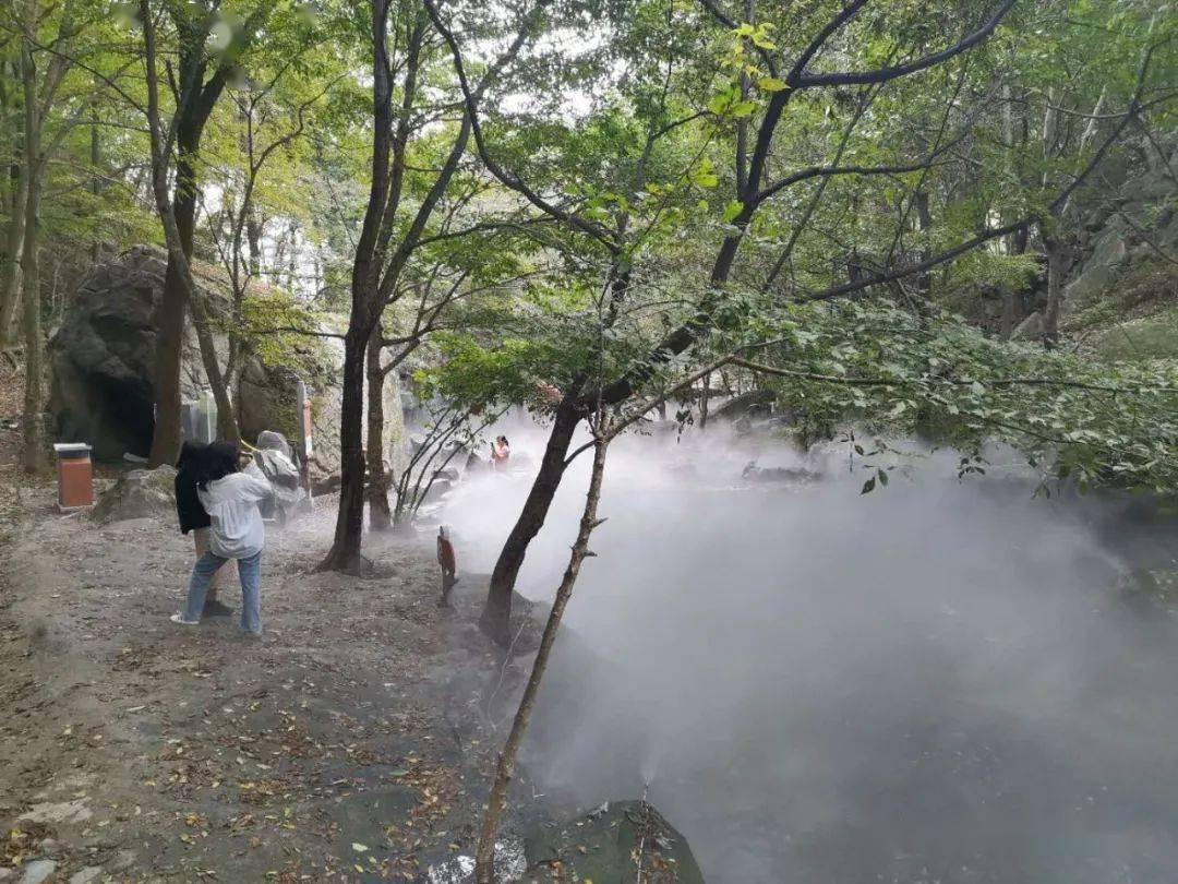 近日，河南周口一男孩勇敢地4次冲进火场，救出了半昏迷的爸爸和奶奶。