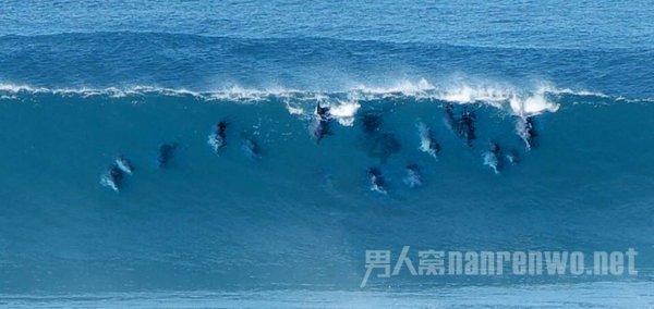 求原图或者画师游戏画面