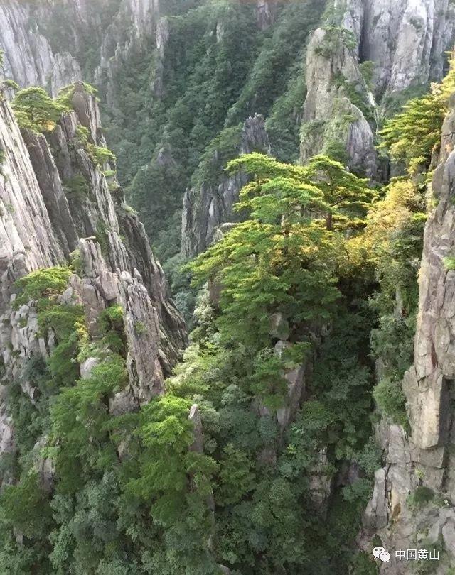 央行：为经济增长和物价稳定营造良好货币金融环境