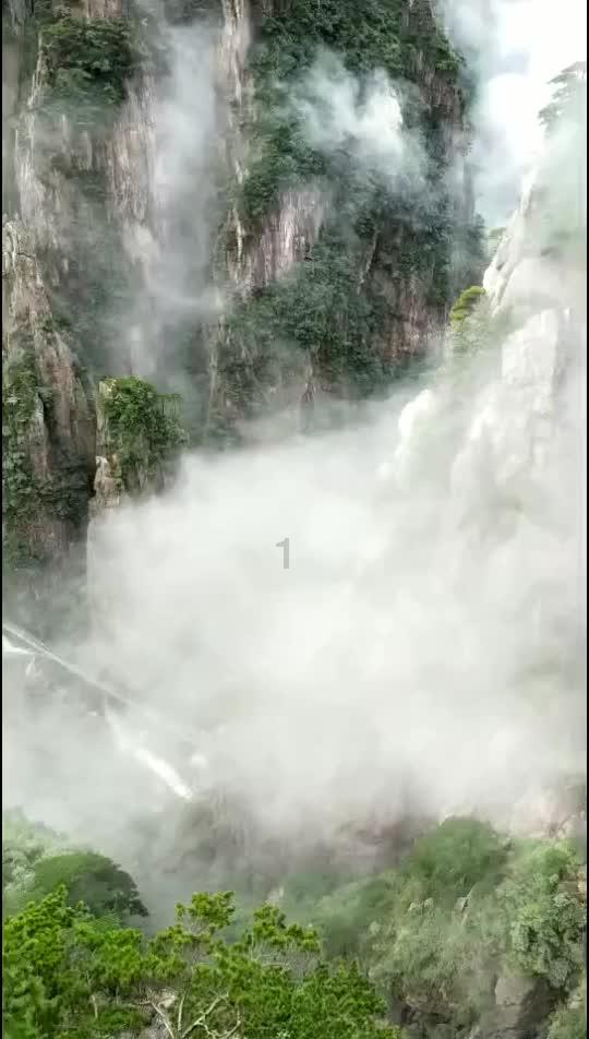 蛇蛇争霸